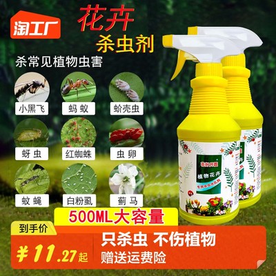 當(dāng)前網(wǎng)購(gòu)流行產(chǎn)品