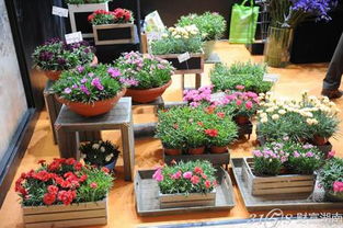 2015中國(guó)花卉食品暨花卉深加工展覽會(huì)5月登陸上海