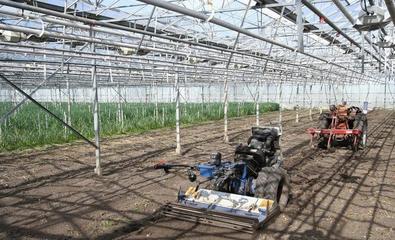 這些國家的植物工廠,已經(jīng)完全可以用智能機器人代替人工了!